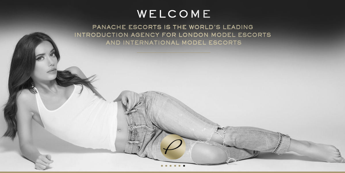 Stunning elite models await the discerning gentleman, we represent a wide selection of elite girls with discretion assured